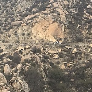 D3 Goat Trail Randy Zoom