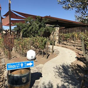 D6 Wine Tasting 1