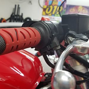 RubiconMike Vista Throttle Lock