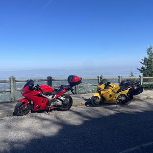 IMG_5005