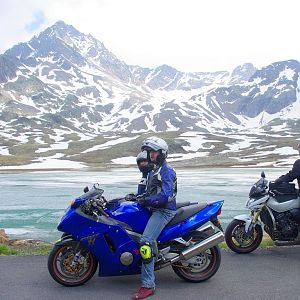 Moto_Gavia