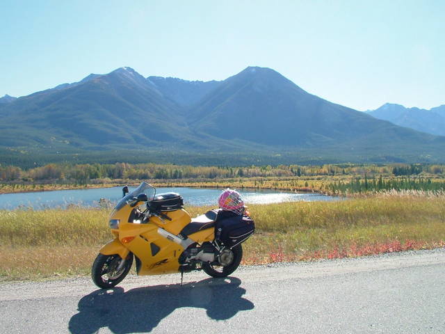 1999 Yellow VFR800