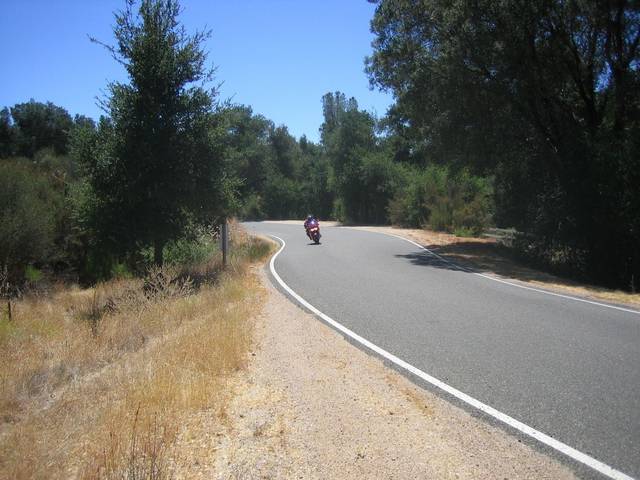 229 curves