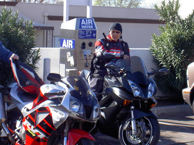 BBear 20090118