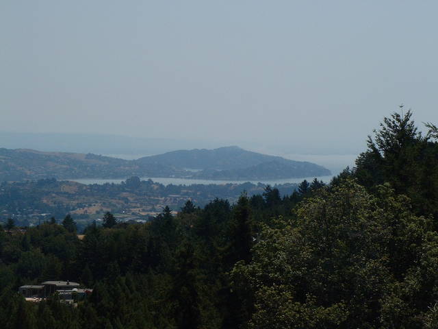 DSCF00331