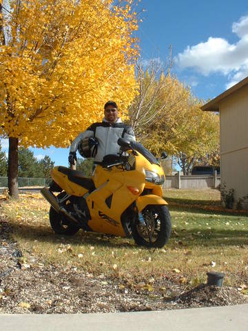 Fall in the Cali Mountains