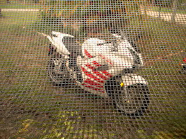 thru the screen